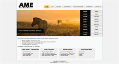 Desktop Screenshot of africamoneyexchange.com